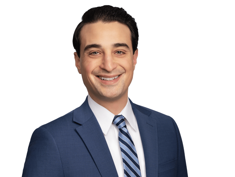 Portrait of Dominic J. LaFauci